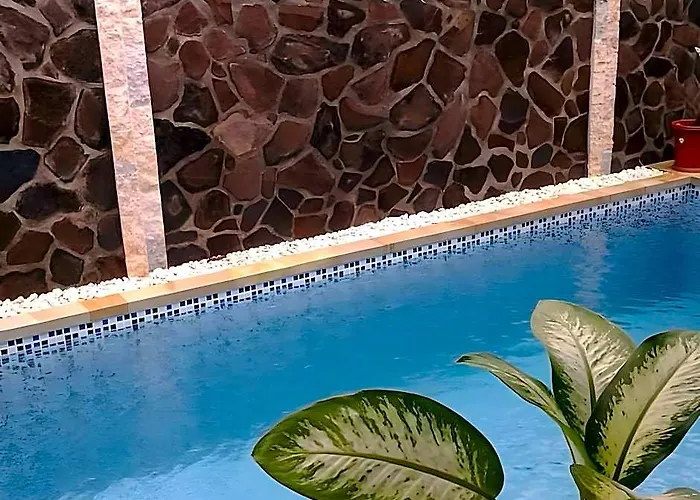 Oasis Guest house Lovina (Bali)